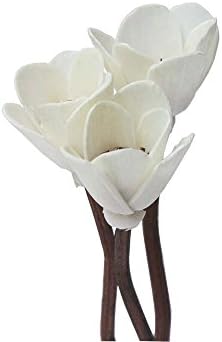 30Pcs Premium Brown Wavy Rattan Diffuser Sticks