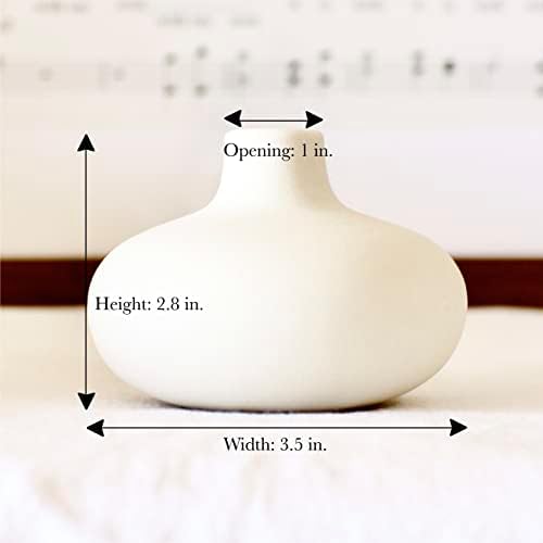 Carrots Den - Set of 6 White Ceramic Donut Bud Vases