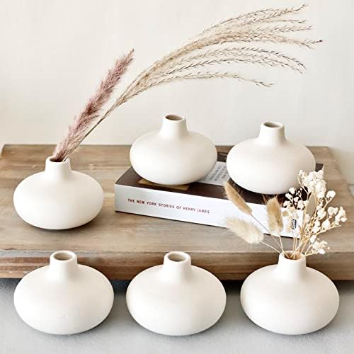 Carrots Den - Set of 6 White Ceramic Donut Bud Vases