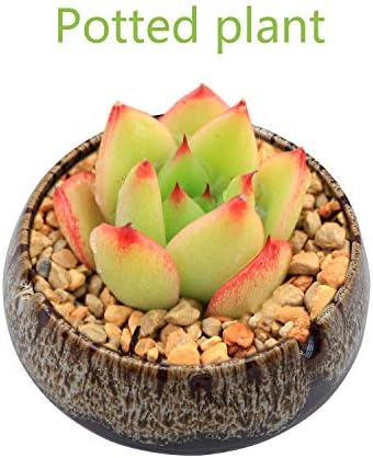 InnoLife Round Ceramic Ashtray - White