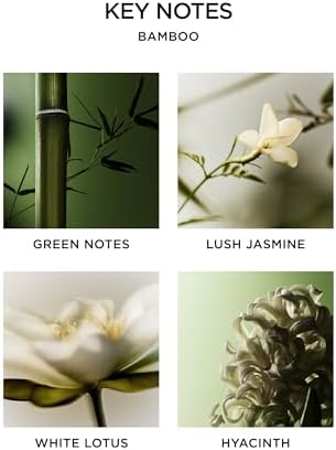 NEST New York Reed Diffuser Liquid Refill - Bamboo