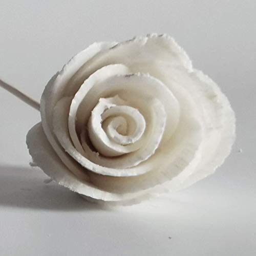 20 Mini Gerbera Rose Sola Flower Reed Diffuser Stick for Home Fragrance