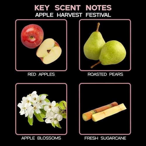 LOVSPA Apple Harvest Reed Diffuser Set
