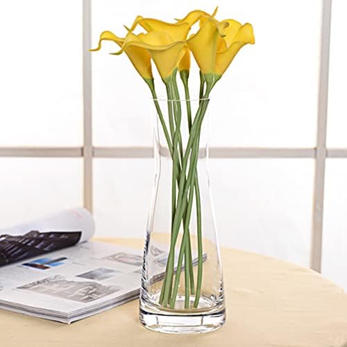 Aoderun Clear Glass Flower Vase for Home Decor