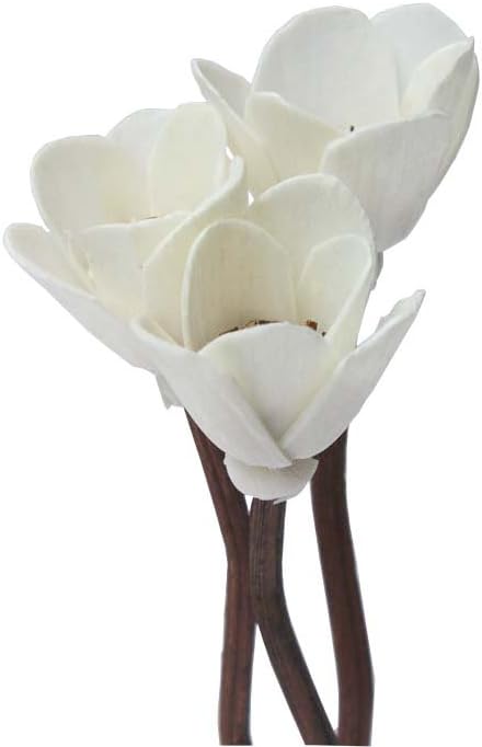 30Pcs Premium Brown Wavy Rattan Diffuser Sticks