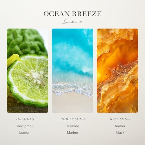 Hotel Diffuser Oil Discovery Kit by Scentiment