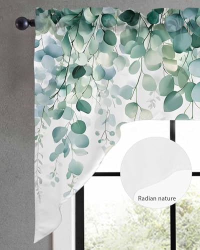 Green Eucalyptus Swag Valance 56 x 36 for Windows
