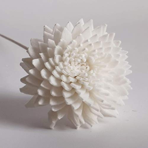 20 Mini Gerbera Rose Sola Flower Reed Diffuser Stick for Home Fragrance
