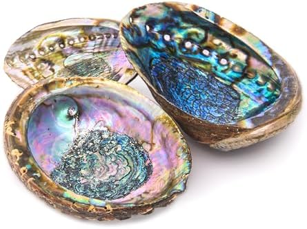 6 Inch Hand Selected Abalone Shell Incense Holder