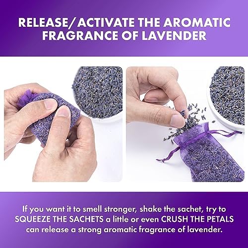 French Lavender Sachets Set of 24 Purple Home Fragrance
