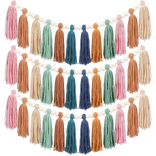 Zeyune 3 Pcs Boho Tassel Garland Wall Decor