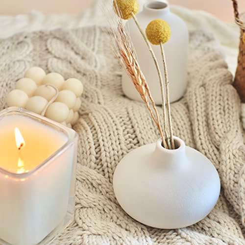 Carrots Den - Set of 6 White Ceramic Donut Bud Vases