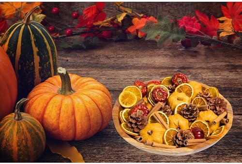 ANDALUCA Pumpkin Spice Potpourri with Mini Pumpkins