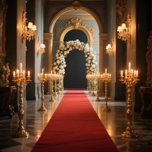 3x10 ft Heavy Duty Red Carpet Runner with Non Slip Rubber Backing