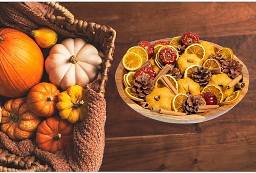 ANDALUCA Pumpkin Spice Potpourri with Mini Pumpkins