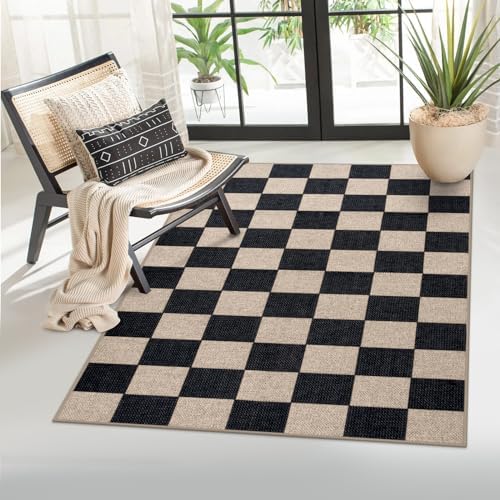 Lahome Checkered Jute Inspired Carpet 3x5