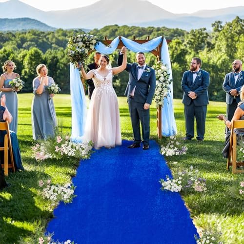 QueenDream Royal Blue Velvet Aisle Runner 25ftx15ft