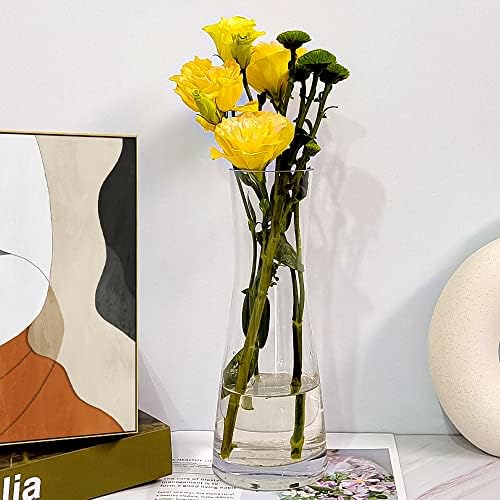 Aoderun Clear Glass Flower Vase for Home Decor
