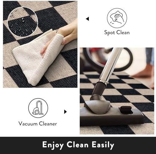 Lahome Checkered Jute Inspired Carpet 3x5
