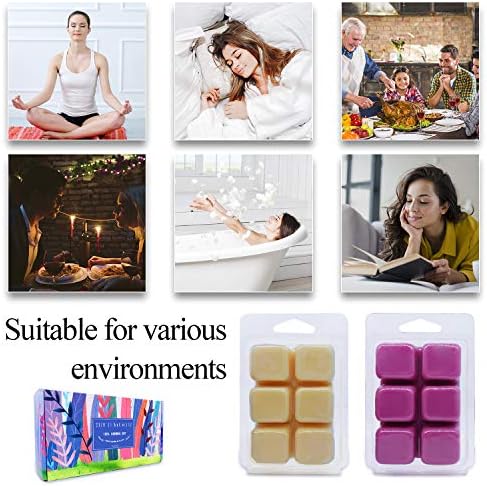 Scented Wax Melts 8 Pack with 8 Unique Fragrances