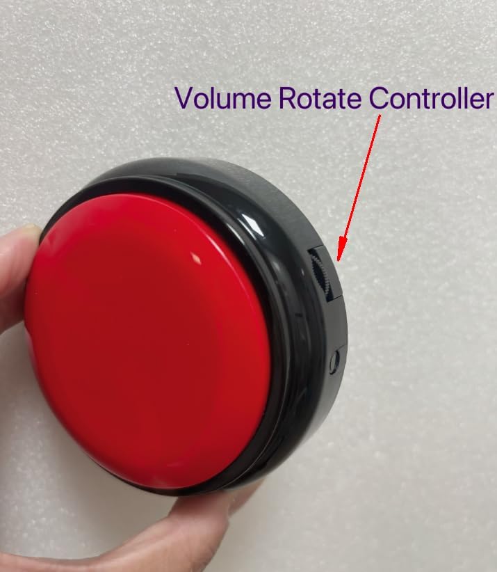Large Talking Button Clock with Volume Control