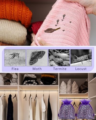 26 Pack French Lavender Sachet Bags for Home Fragrance