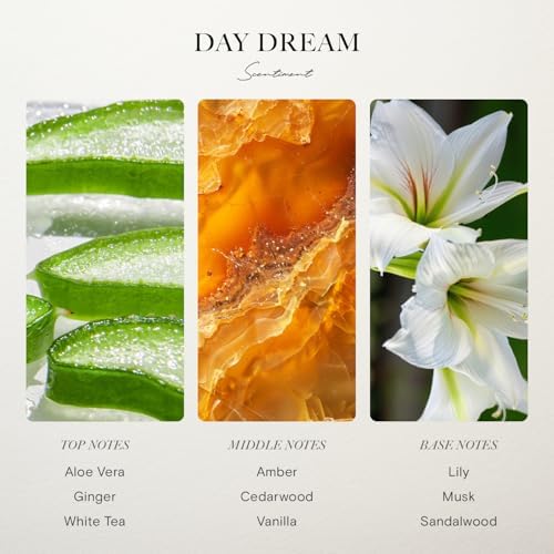 Hotel Diffuser Oil Discovery Kit by Scentiment