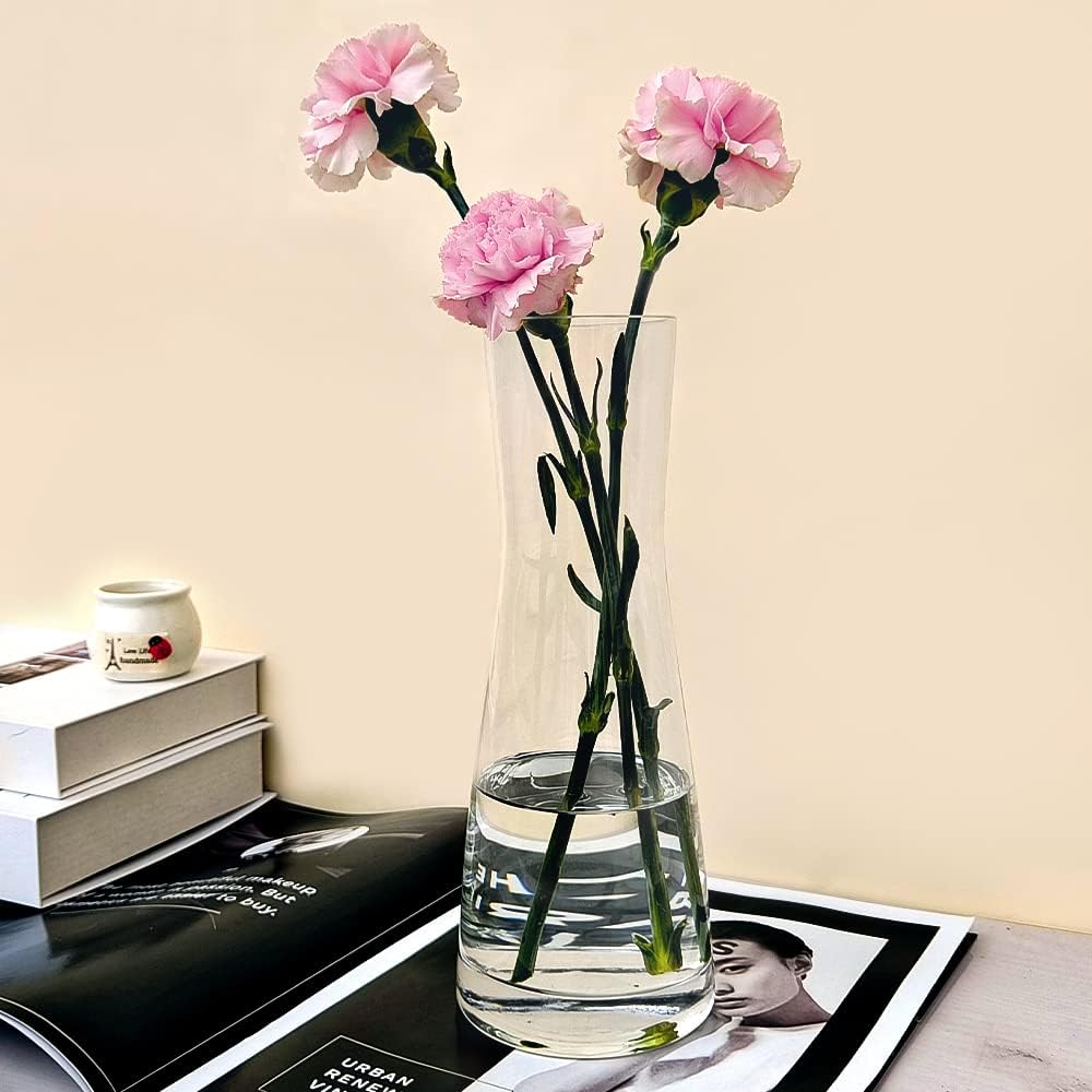 Aoderun Clear Glass Flower Vase for Home Decor