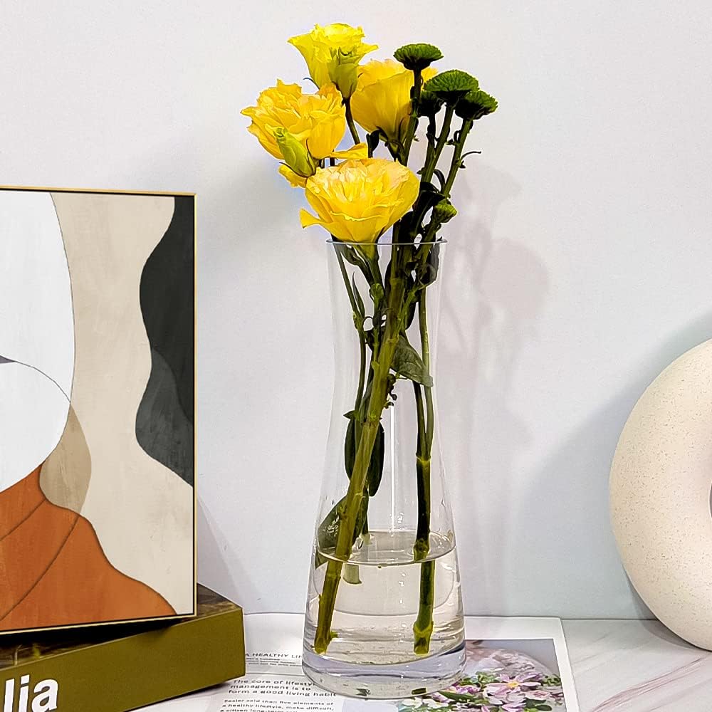 Aoderun Clear Glass Flower Vase for Home Decor