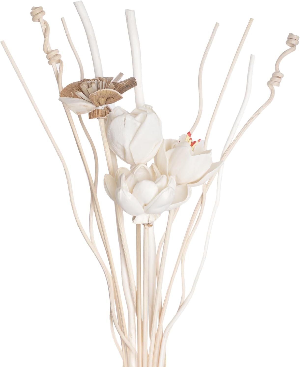 14Pcs Natural Rattan Reed Diffuser Sticks Set