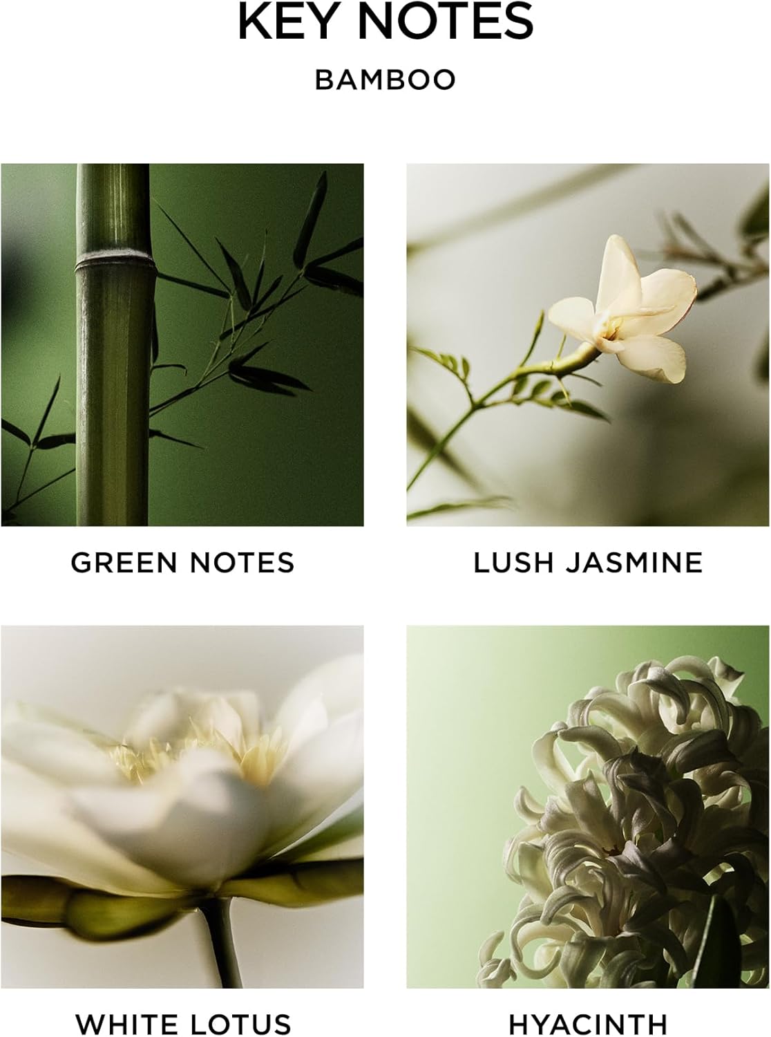 NEST New York Reed Diffuser Liquid Refill - Bamboo