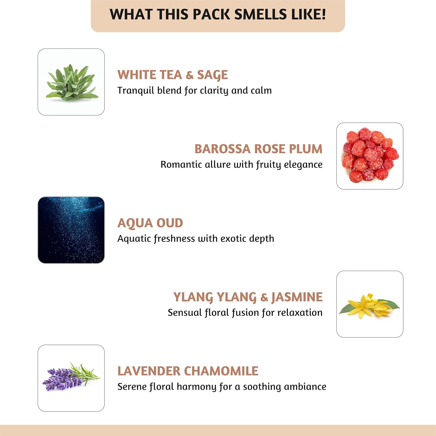 Folkulture Wax Melts Set of 5 Fragrance Melts 30pc
