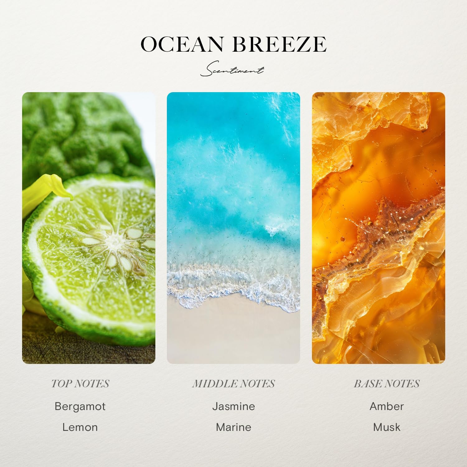 Hotel Diffuser Oil Discovery Kit by Scentiment