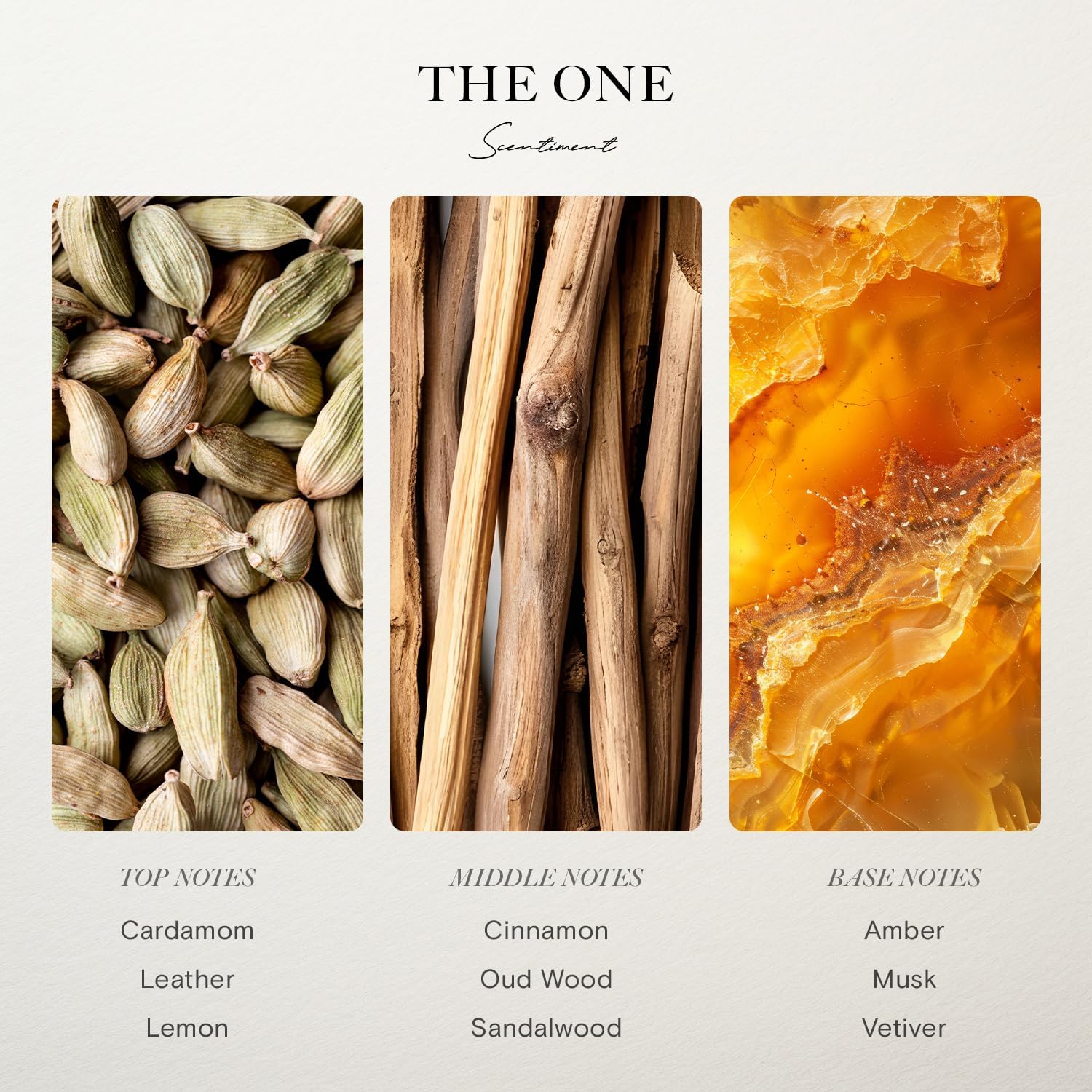 Hotel Diffuser Oil Discovery Kit by Scentiment