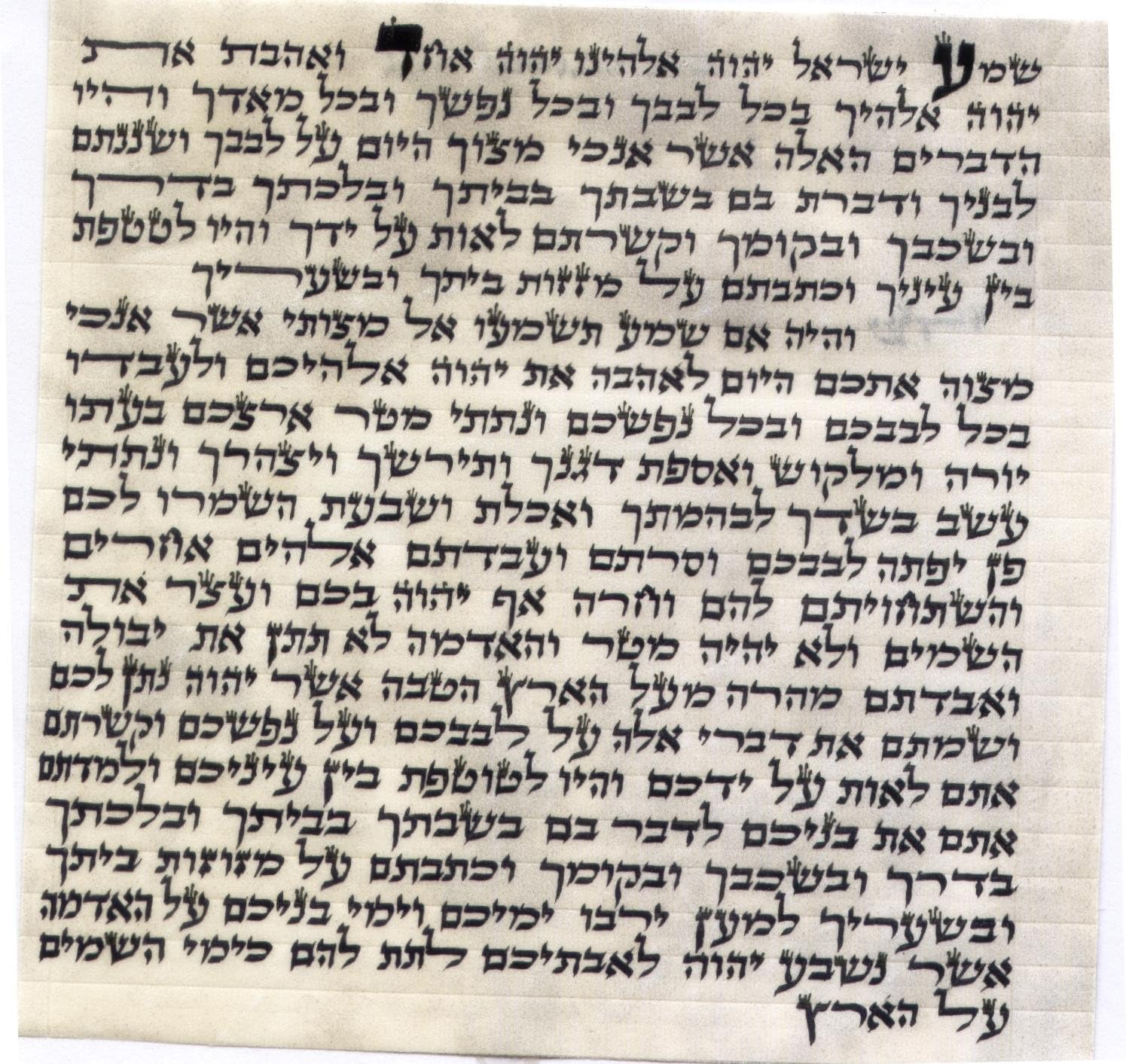 Judaica Mezuzah Scroll 7cm 28 Inch Klaf Parchment Case