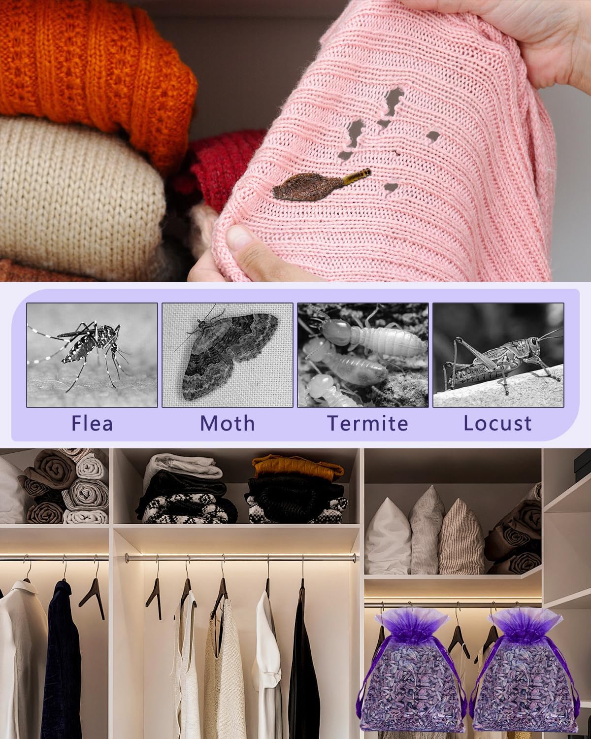 26 Pack French Lavender Sachet Bags for Home Fragrance
